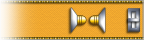 Lieutenant JG
